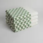 Baina Roman Pool Towel Sage Chalk