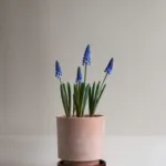 Bergs Potter Hoff Planter Raw