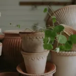Bergs Potter Planters 3113