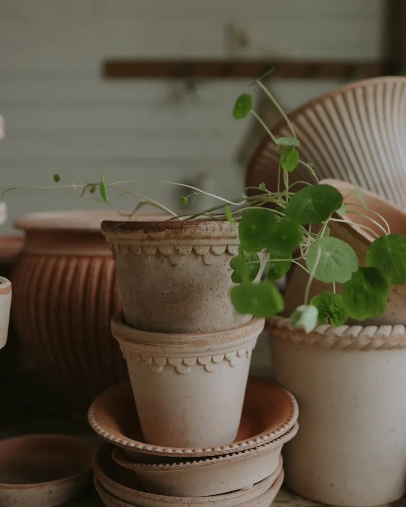 Bergs Potter Planters 3113